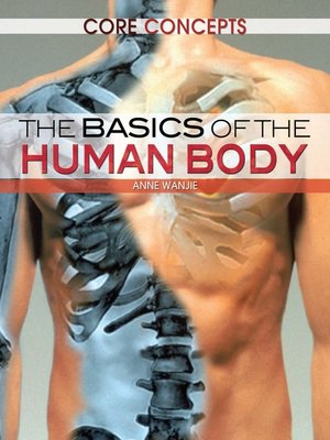 cover image of The Basics of the Human Body